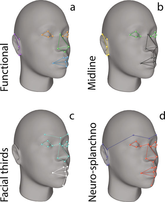 Artículo original de la LCF: Developmental pathways inferred from modularity, morphological integration and fluctuating asymmetry patterns in the human face