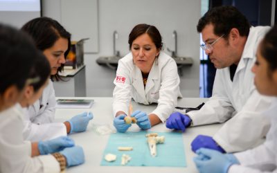 EN EL TALLER: ANÁLISIS DE RESTOS HUMANOS CON ALTERACIÓN TÉRMICA DIRECTA.