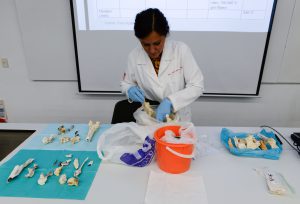 12_curso