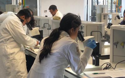 Curso-precongreso: “Teoría y métodos de identificación de especies de dípteros de importancia forense”  Dr. Carlos Salvador Pedraza Lara