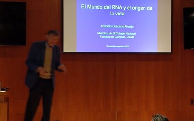 Galería de imágenes: El mundo del RNA y el origen de la vida