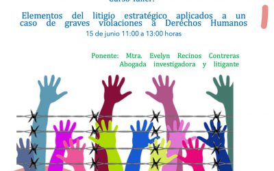 Elementos del litigio estratégico aplicados a un caso de graves violaciones a Derechos Humanos