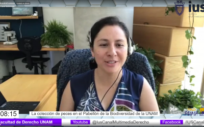 MF, invitada Dra. Patricia Ornelas García, tema: “La colección de peces en el Pabellón de la Biodiversidad de la UNAM»