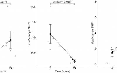 Artículo de la ENaCiF: A miRNome analysis at the early postmortem interval