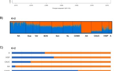 Artículo: Forensic parameters and population structure based on 21 autosomal STRs with the investigator 24plex QS in mestizos from the Mexico City population