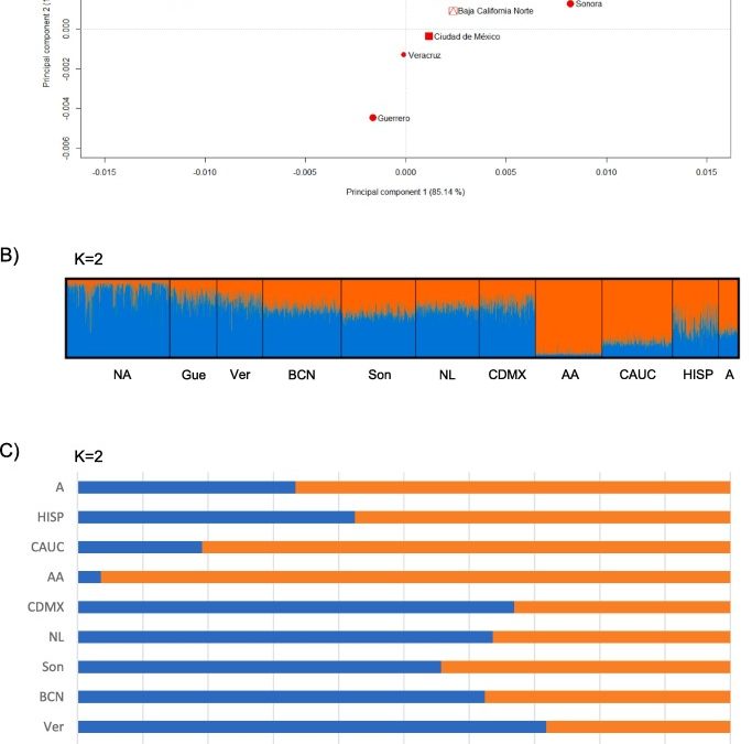 Artículo: Forensic parameters and population structure based on 21 autosomal STRs with the investigator 24plex QS in mestizos from the Mexico City population