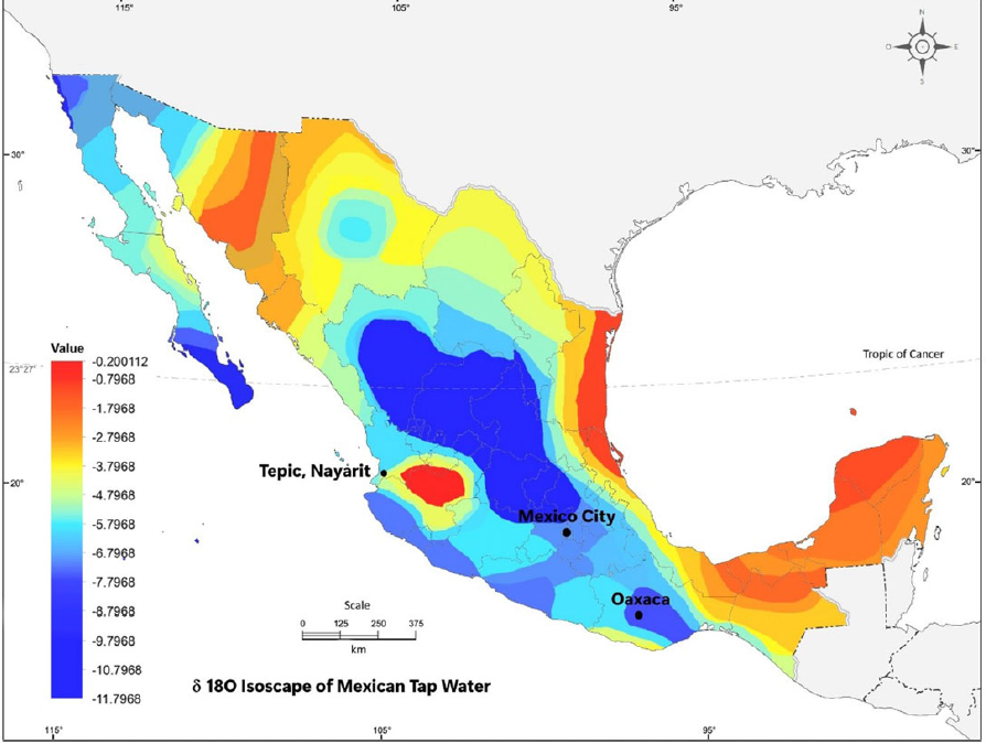 Nueva publicación ENACIF: The use of 13C,14C and 18O of dental enamel to estimate the year of birth and geographic origin from Mexican individuals.