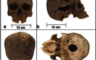 Nueva publicación ENACIF: Antropología forense, conservación y nuevas tecnologías. Aplicación de fotogrametría de rango corto en restos óseos humanos en Córdoba, Argentina.
