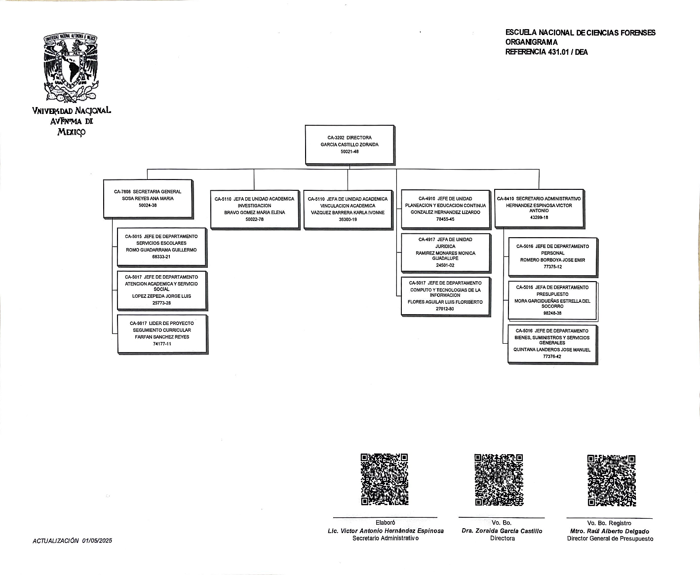 Organigrama ENaCiF2025_3