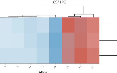 Foren-STR: a comprehensive tool for rapid calculation of forensic parameters from autosomal STR data